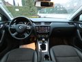 Daumennagel 14 - Skoda Octavia Combi Greenline 1,6 TDI Bi-Xenon Keyless Navi 4xSHZ Klima