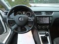 Daumennagel 15 - Skoda Octavia Combi Greenline 1,6 TDI Bi-Xenon Keyless Navi 4xSHZ Klima