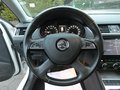 Daumennagel 16 - Skoda Octavia Combi Greenline 1,6 TDI Bi-Xenon Keyless Navi 4xSHZ Klima