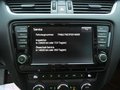 Daumennagel 20 - Skoda Octavia Combi Greenline 1,6 TDI Bi-Xenon Keyless Navi 4xSHZ Klima