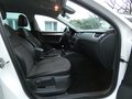 Daumennagel 22 - Skoda Octavia Combi Greenline 1,6 TDI Bi-Xenon Keyless Navi 4xSHZ Klima
