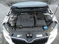 Daumennagel 26 - Skoda Octavia Combi Greenline 1,6 TDI Bi-Xenon Keyless Navi 4xSHZ Klima