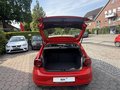 Daumennagel 21 - Volkswagen Polo VI Highline 1,0 TSI DSG SHZ Klima Tempomat wenig KM