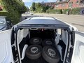 Daumennagel 17 - Mercedes-Benz Citan Kasten 108 CDI AHK 1.Hand wenig KM