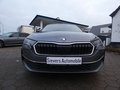 Daumennagel 2 - Skoda Octavia Combi 2.0 TDI Tour Head-Up Display AHK Navi