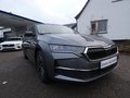 Daumennagel 3 - Skoda Octavia Combi 2.0 TDI Tour Head-Up Display AHK Navi