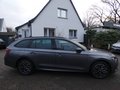 Daumennagel 6 - Skoda Octavia Combi 2.0 TDI Tour Head-Up Display AHK Navi