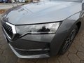 Daumennagel 9 - Skoda Octavia Combi 2.0 TDI Tour Head-Up Display AHK Navi
