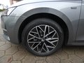 Daumennagel 11 - Skoda Octavia Combi 2.0 TDI Tour Head-Up Display AHK Navi