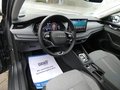 Daumennagel 14 - Skoda Octavia Combi 2.0 TDI Tour Head-Up Display AHK Navi