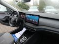 Daumennagel 13 - Skoda Octavia Combi 2.0 TDI Tour Head-Up Display AHK Navi