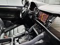 Daumennagel 17 - Skoda Kodiaq Style|AUTOM|7 SITZER|PANO|LEDER|LED|19 ZOLL