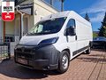 Daumennagel 1 - Peugeot Boxer Kasten Hochraum L4H2 |5 JAHRE GARANTIE