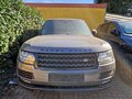 Daumennagel 3 - Land Rover Range Rover Vogue 4,4 SDI -PANO|LEDER|XENON|22 ZOLL|