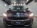 Daumennagel 6 - Skoda Karoq 2.0 TDI Tour 4X4|5 JAHRE GARANTIE|PANO|LED|NAVI