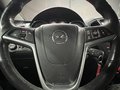 Daumennagel 20 - Opel Insignia A 150 Jahre Opel|LEDER|NAVI|LM FELGEN