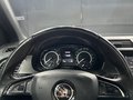 Daumennagel 19 - Skoda Fabia Monte Carlo|5 JAHRE GARANTIE|PANO|LED