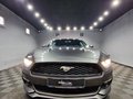 Daumennagel 6 - Ford Mustang Basis Fastback 2.3 EcoBoost |AUTOM|LEDER|XENON