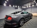 Daumennagel 4 - Ford Mustang Basis Fastback 2.3 EcoBoost |AUTOM|LEDER|XENON
