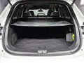 Daumennagel 17 - Borgward BX7 2.0 TS Limited Edition|AUTOM|PANO|LEDER|360