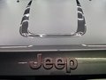 Daumennagel 31 - Jeep Grand Cherokee 3.0 CRD Trailhawk|AUTOM|LEDER|LED|NAVI