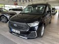 Daumennagel 1 - Ford Tourneo Connect Titanium PHEV Plugin-Hybrid