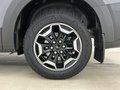 Daumennagel 5 - Ford Tourneo Custom L2 Active AWD AHK + B&O + ACC