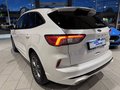 Daumennagel 4 - Ford Kuga FHEV AWD ST-Line X + Pano + WP + AHK