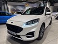 Daumennagel 1 - Ford Kuga FHEV AWD ST-Line X + Pano + WP + AHK