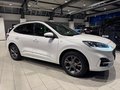 Daumennagel 7 - Ford Kuga FHEV AWD ST-Line X + Pano + WP + AHK