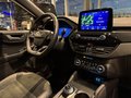 Daumennagel 11 - Ford Kuga FHEV AWD ST-Line X + Pano + WP + AHK