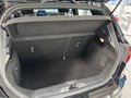 Daumennagel 15 - Ford Fiesta ST-Line X LED + ACC + Standheizung