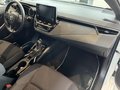 Daumennagel 12 - Toyota Corolla Touring Sports Hybrid Comfort
