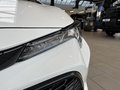 Daumennagel 14 - Toyota Corolla Touring Sports Hybrid Comfort