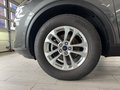 Daumennagel 7 - Ford Kuga Titanium + Fahrassist.-Pk + Winter-Pk