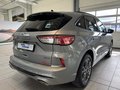 Daumennagel 4 - Ford Kuga Plug-In Hybrid ST-Line X LED + schwb. AHK
