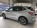Daumennagel 2 - Ford Kuga Plug-In Hybrid ST-Line X LED + schwb. AHK