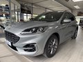 Daumennagel 1 - Ford Kuga Plug-In Hybrid ST-Line X LED + schwb. AHK