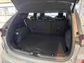 Daumennagel 13 - Ford Kuga Plug-In Hybrid ST-Line X LED + schwb. AHK