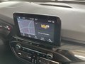 Daumennagel 13 - Ford Focus ST