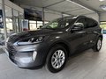 Daumennagel 2 - Ford Kuga Titanium X AWD