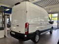 Daumennagel 4 - Ford Transit Kasten 330 L2H3 Trend