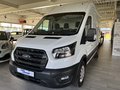 Daumennagel 1 - Ford Transit Kasten 330 L2H3 Trend