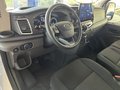 Daumennagel 7 - Ford Transit Kasten 330 L2H3 Trend