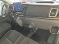 Daumennagel 6 - Ford Transit Kasten 330 L2H3 Trend