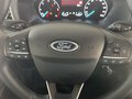Daumennagel 12 - Ford Transit Kasten 330 L2H3 Trend