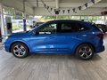 Daumennagel 2 - Ford Kuga ST-Line X Matrix + HeadUp + AHK schw.