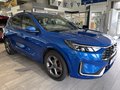 Daumennagel 5 - Ford Kuga ST-Line X Matrix + HeadUp + AHK schw.