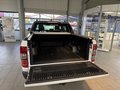 Daumennagel 13 - Ford Ranger Wildtrak Doppelkabine 4x4