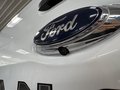 Daumennagel 15 - Ford Ranger Wildtrak Doppelkabine 4x4
